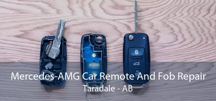 Mercedes-AMG Car Remote And Fob Repair Taradale - AB