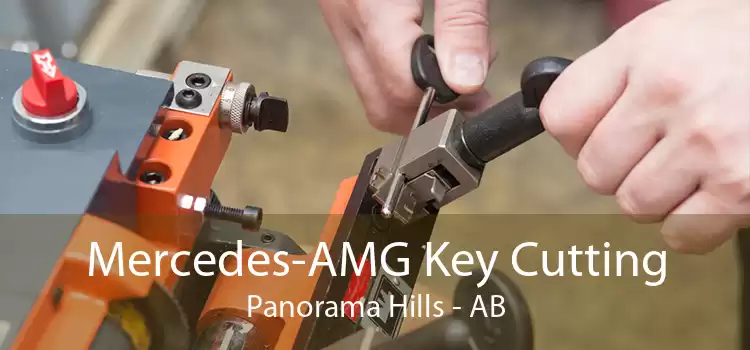 Mercedes-AMG Key Cutting Panorama Hills - AB