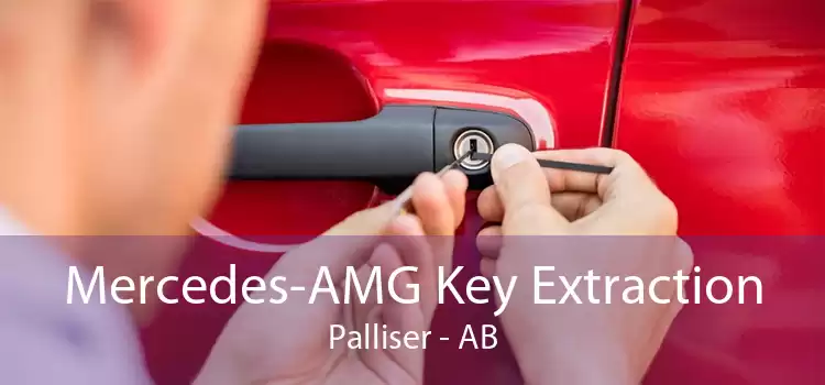 Mercedes-AMG Key Extraction Palliser - AB