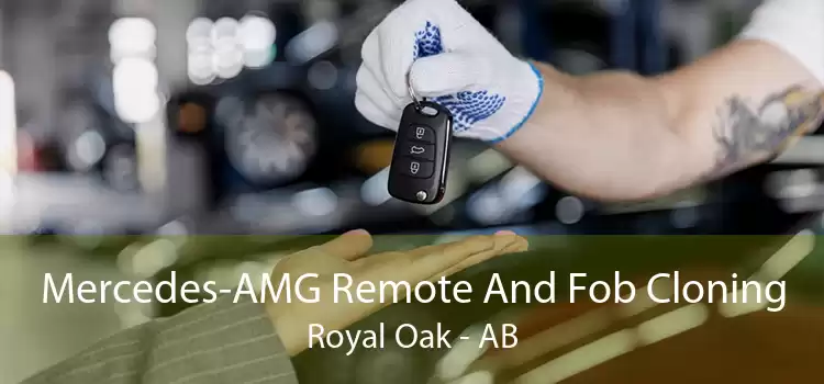 Mercedes-AMG Remote And Fob Cloning Royal Oak - AB