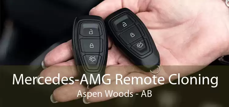 Mercedes-AMG Remote Cloning Aspen Woods - AB