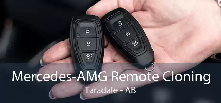 Mercedes-AMG Remote Cloning Taradale - AB