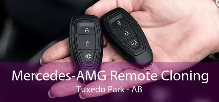 Mercedes-AMG Remote Cloning Tuxedo Park - AB