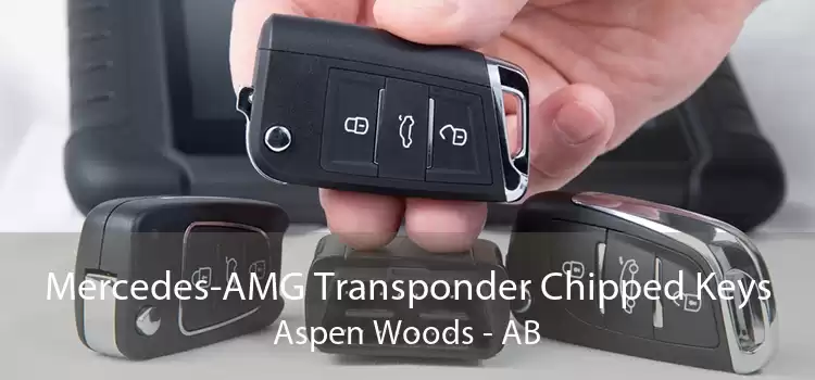 Mercedes-AMG Transponder Chipped Keys Aspen Woods - AB