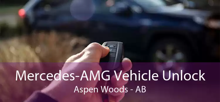 Mercedes-AMG Vehicle Unlock Aspen Woods - AB