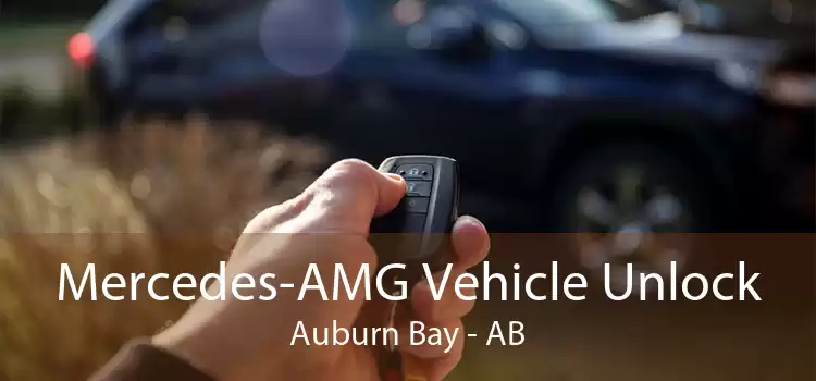 Mercedes-AMG Vehicle Unlock Auburn Bay - AB