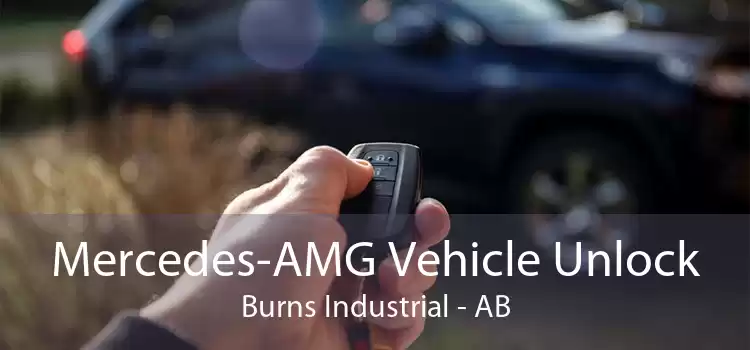 Mercedes-AMG Vehicle Unlock Burns Industrial - AB