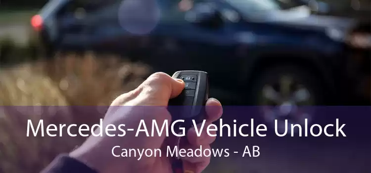 Mercedes-AMG Vehicle Unlock Canyon Meadows - AB