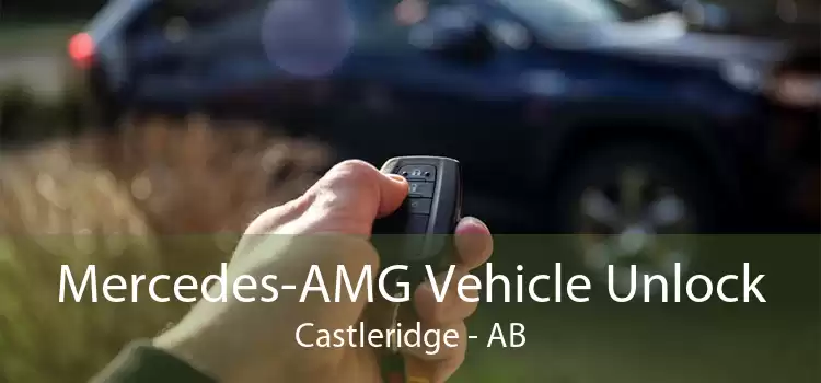 Mercedes-AMG Vehicle Unlock Castleridge - AB