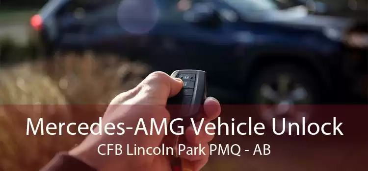 Mercedes-AMG Vehicle Unlock CFB Lincoln Park PMQ - AB
