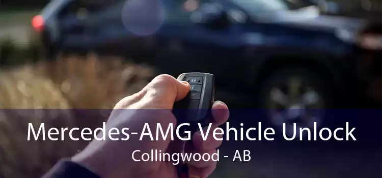 Mercedes-AMG Vehicle Unlock Collingwood - AB