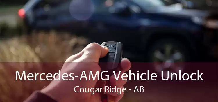 Mercedes-AMG Vehicle Unlock Cougar Ridge - AB