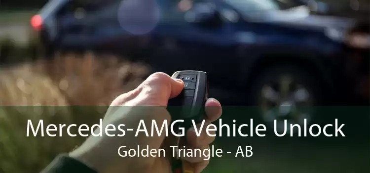Mercedes-AMG Vehicle Unlock Golden Triangle - AB