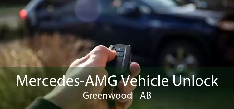 Mercedes-AMG Vehicle Unlock Greenwood - AB