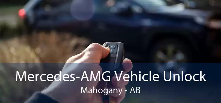 Mercedes-AMG Vehicle Unlock Mahogany - AB