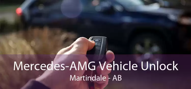 Mercedes-AMG Vehicle Unlock Martindale - AB