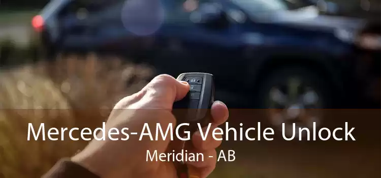Mercedes-AMG Vehicle Unlock Meridian - AB