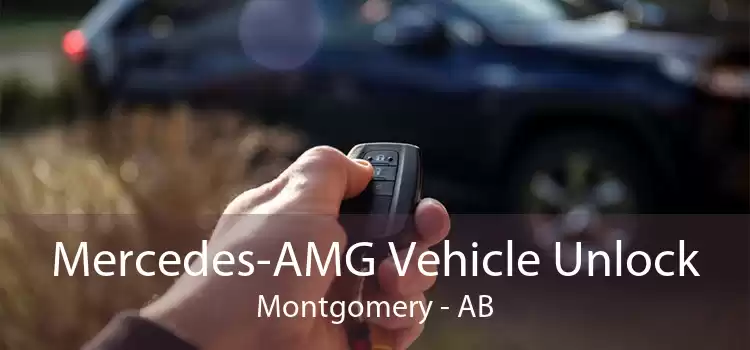 Mercedes-AMG Vehicle Unlock Montgomery - AB