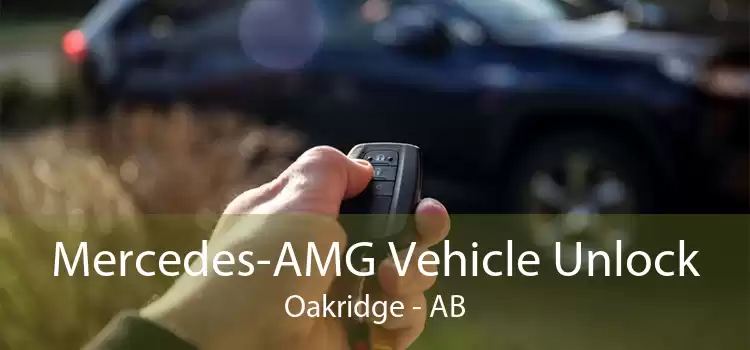 Mercedes-AMG Vehicle Unlock Oakridge - AB