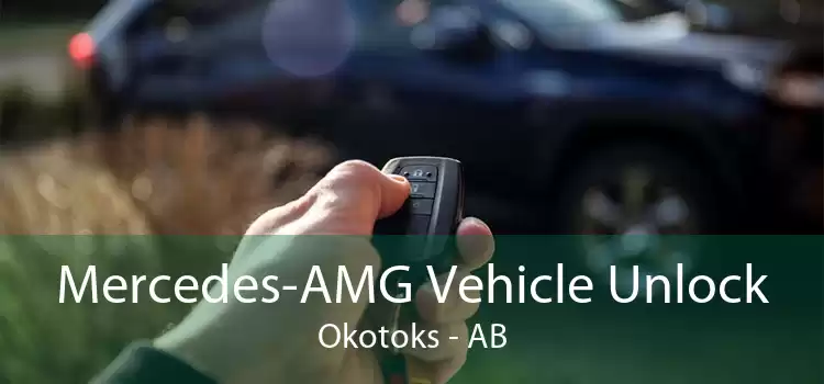 Mercedes-AMG Vehicle Unlock Okotoks - AB