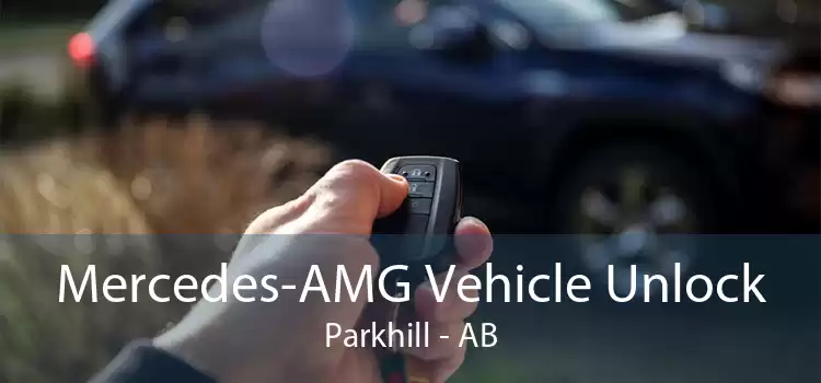 Mercedes-AMG Vehicle Unlock Parkhill - AB