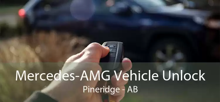 Mercedes-AMG Vehicle Unlock Pineridge - AB