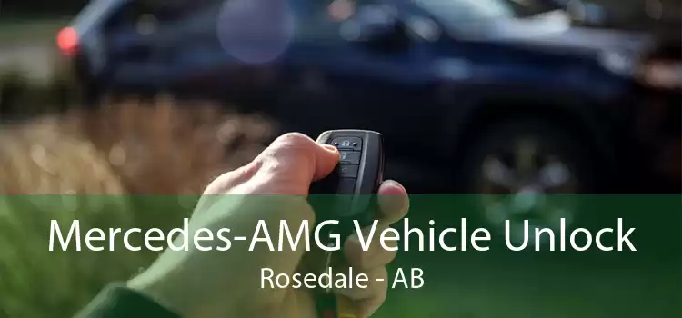 Mercedes-AMG Vehicle Unlock Rosedale - AB