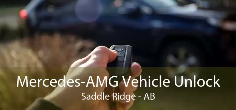 Mercedes-AMG Vehicle Unlock Saddle Ridge - AB