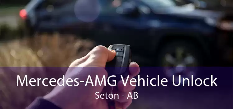 Mercedes-AMG Vehicle Unlock Seton - AB