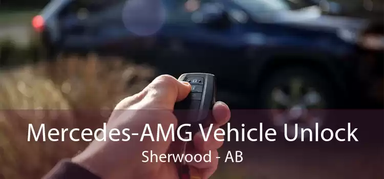 Mercedes-AMG Vehicle Unlock Sherwood - AB