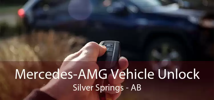 Mercedes-AMG Vehicle Unlock Silver Springs - AB
