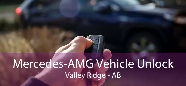 Mercedes-AMG Vehicle Unlock Valley Ridge - AB