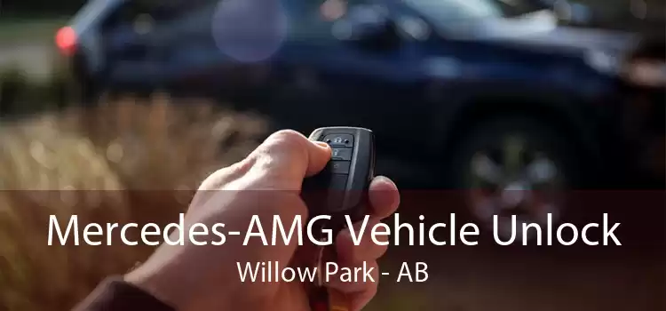 Mercedes-AMG Vehicle Unlock Willow Park - AB
