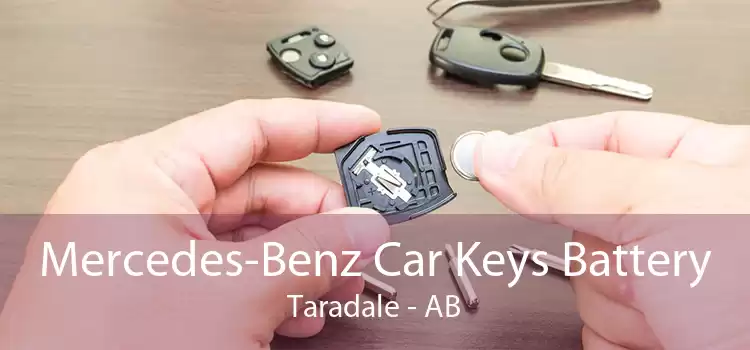 Mercedes-Benz Car Keys Battery Taradale - AB