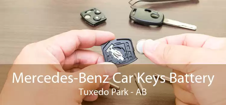 Mercedes-Benz Car Keys Battery Tuxedo Park - AB