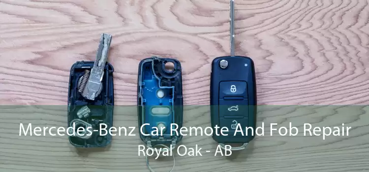Mercedes-Benz Car Remote And Fob Repair Royal Oak - AB