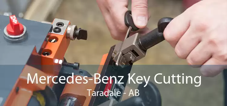 Mercedes-Benz Key Cutting Taradale - AB