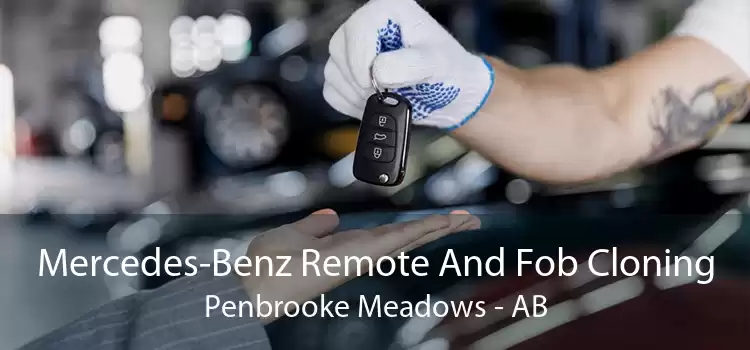 Mercedes-Benz Remote And Fob Cloning Penbrooke Meadows - AB