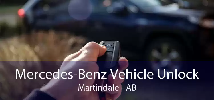 Mercedes-Benz Vehicle Unlock Martindale - AB