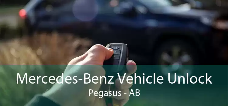 Mercedes-Benz Vehicle Unlock Pegasus - AB