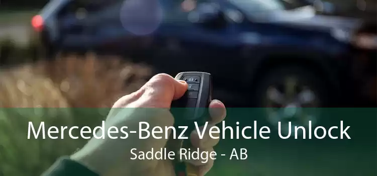 Mercedes-Benz Vehicle Unlock Saddle Ridge - AB