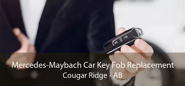 Mercedes-Maybach Car Key Fob Replacement Cougar Ridge - AB