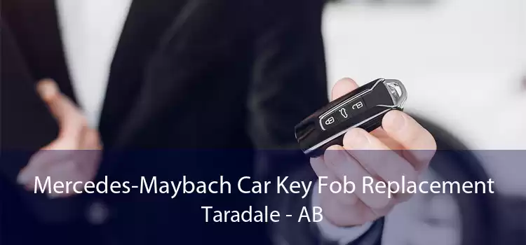 Mercedes-Maybach Car Key Fob Replacement Taradale - AB