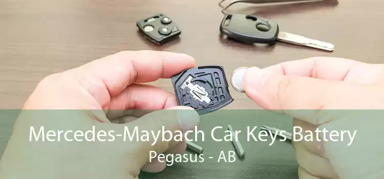 Mercedes-Maybach Car Keys Battery Pegasus - AB