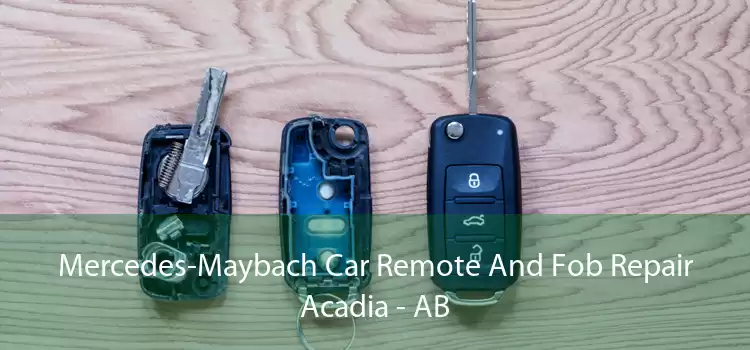 Mercedes-Maybach Car Remote And Fob Repair Acadia - AB