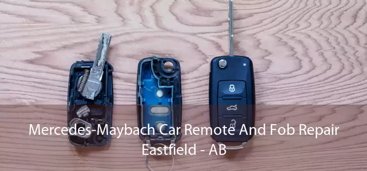 Mercedes-Maybach Car Remote And Fob Repair Eastfield - AB