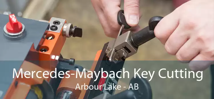 Mercedes-Maybach Key Cutting Arbour Lake - AB