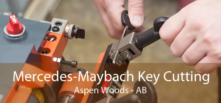 Mercedes-Maybach Key Cutting Aspen Woods - AB