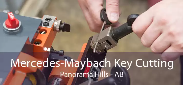 Mercedes-Maybach Key Cutting Panorama Hills - AB