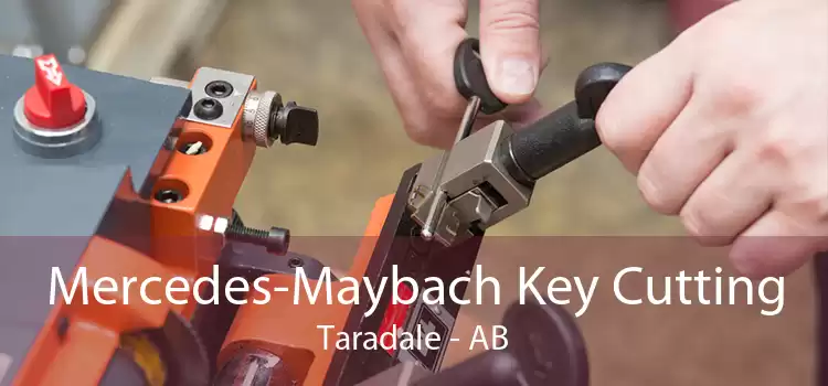 Mercedes-Maybach Key Cutting Taradale - AB
